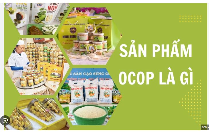 Tăng ngay tỉ lệ chốt đơn nếu biết bạn biết 4 nhóm khách hàng này